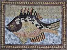 AN636 Multicolor fish Mosaic