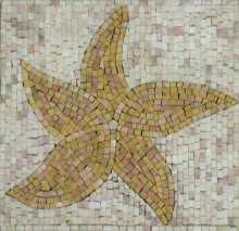 IN281 Mosaic